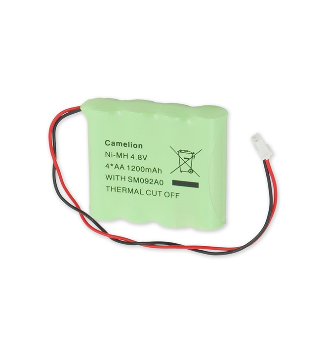 Paradox Battery MG6250